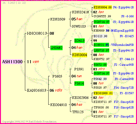 Pedigree of ASH11300 :
four generations presented