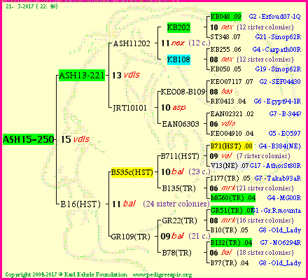 Pedigree of ASH15-250 :
four generations presented