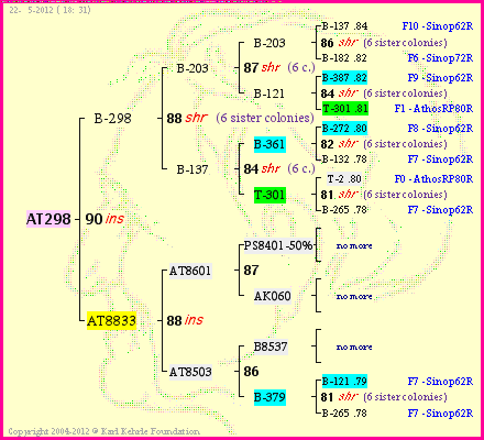 Pedigree of AT298 :
four generations presented