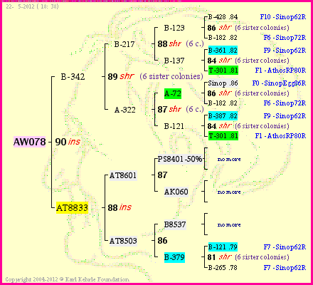 Pedigree of AW078 :
four generations presented