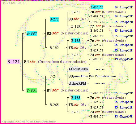 Pedigree of B-121 :
four generations presented