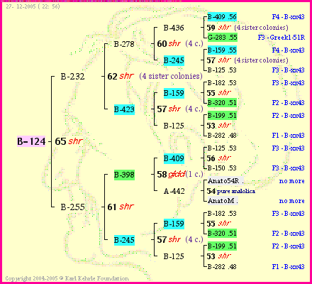 Pedigree of B-124 :
four generations presented