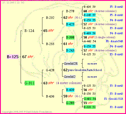 Pedigree of B-125 :
four generations presented