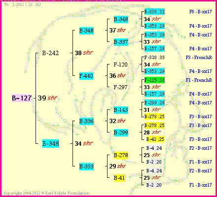 Pedigree of B-127 :
four generations presented