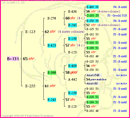 Pedigree of B-131 :
four generations presented