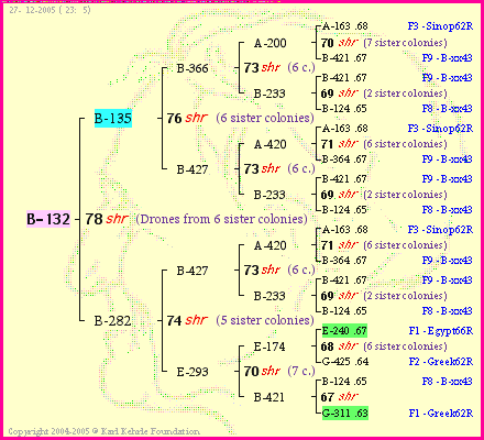 Pedigree of B-132 :
four generations presented