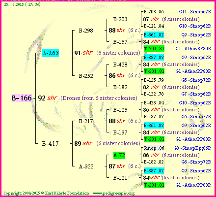 Pedigree of B-166 :
four generations presented