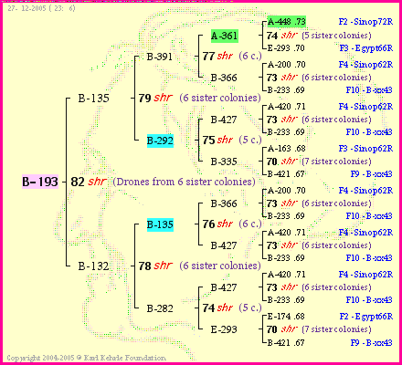 Pedigree of B-193 :
four generations presented