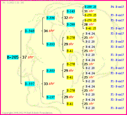 Pedigree of B-205 :
four generations presented