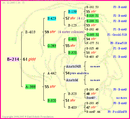 Pedigree of B-214 :
four generations presented