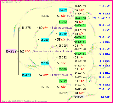 Pedigree of B-232 :
four generations presented