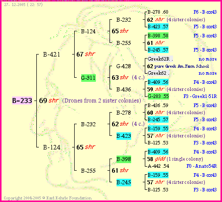 Pedigree of B-233 :
four generations presented