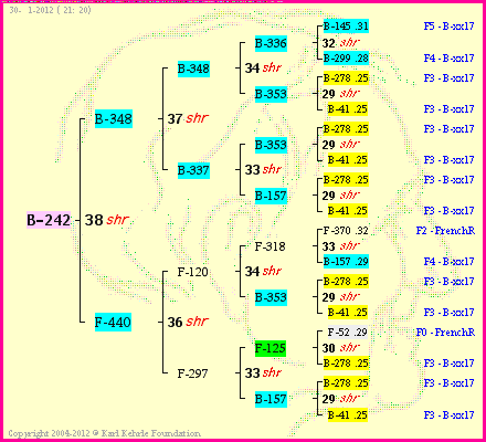 Pedigree of B-242 :
four generations presented