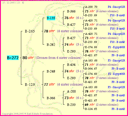 Pedigree of B-272 :
four generations presented
it's temporarily unavailable, sorry!