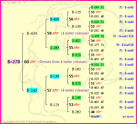 Pedigree of B-278 :
four generations presented