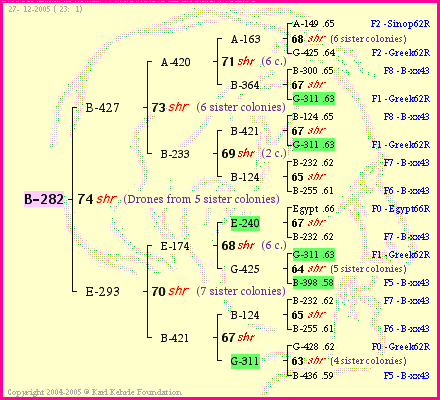 Pedigree of B-282 :
four generations presented