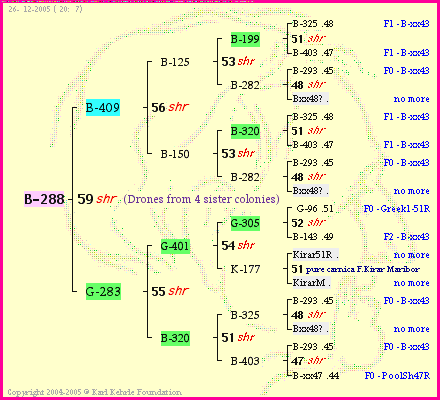 Pedigree of B-288 :
four generations presented