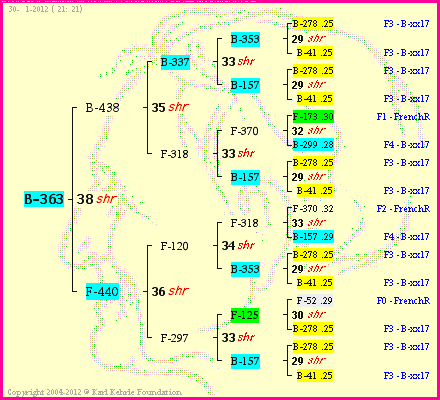 Pedigree of B-363 :
four generations presented