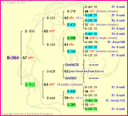 Pedigree of B-364 :
four generations presented