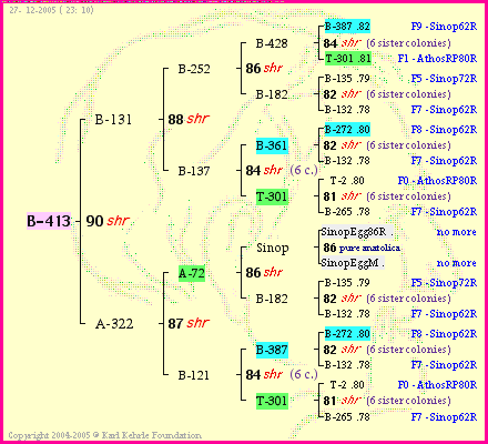 Pedigree of B-413 :
four generations presented