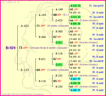 Pedigree of B-424 :
four generations presented