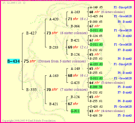 Pedigree of B-434 :
four generations presented