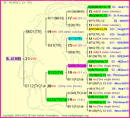 Pedigree of B..(CHB) :
four generations presented
it's temporarily unavailable, sorry!