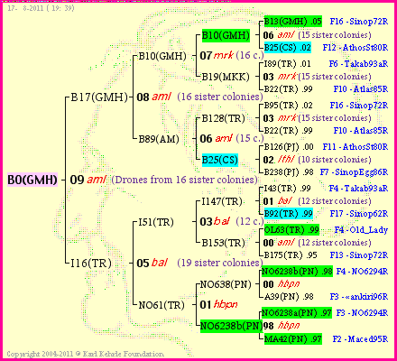 Pedigree of B0(GMH) :
four generations presented