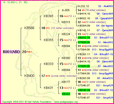 Pedigree of B001(ABE) :
four generations presented
it's temporarily unavailable, sorry!