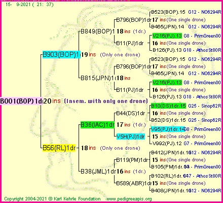 Pedigree of B001(BOP)1dr :
four generations presented
it's temporarily unavailable, sorry!