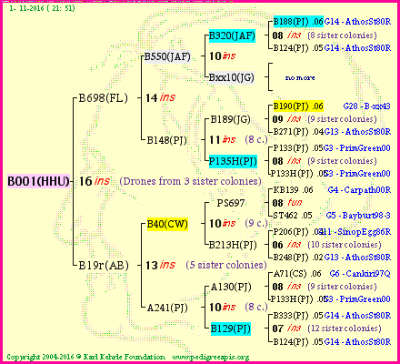 Pedigree of B001(HHU) :
four generations presented