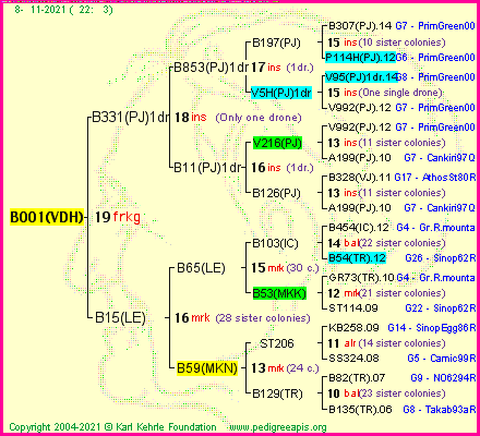 Pedigree of B001(VDH) :
four generations presented
it's temporarily unavailable, sorry!