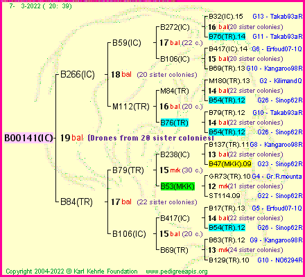 Pedigree of B00141(IC) :
four generations presented
it's temporarily unavailable, sorry!