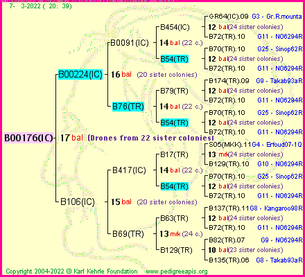 Pedigree of B00176(IC) :
four generations presented
it's temporarily unavailable, sorry!