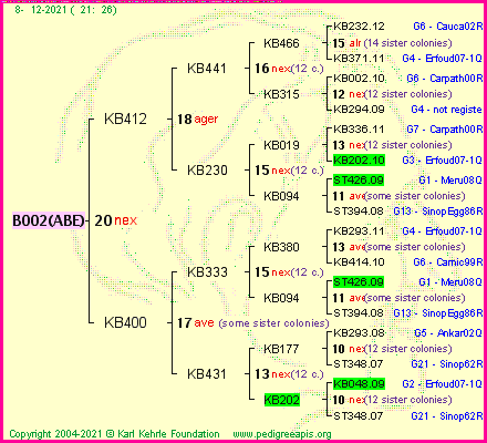 Pedigree of B002(ABE) :
four generations presented
it's temporarily unavailable, sorry!