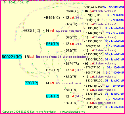 Pedigree of B00224(IC) :
four generations presented
it's temporarily unavailable, sorry!