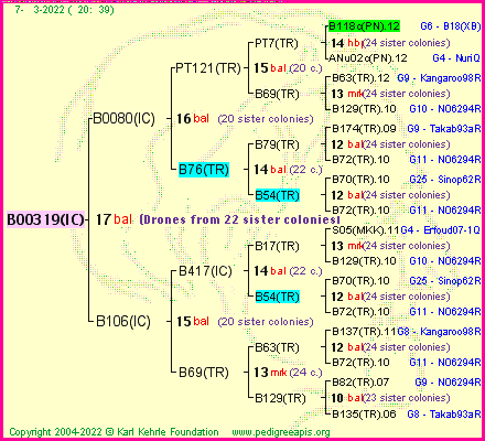 Pedigree of B00319(IC) :
four generations presented
it's temporarily unavailable, sorry!