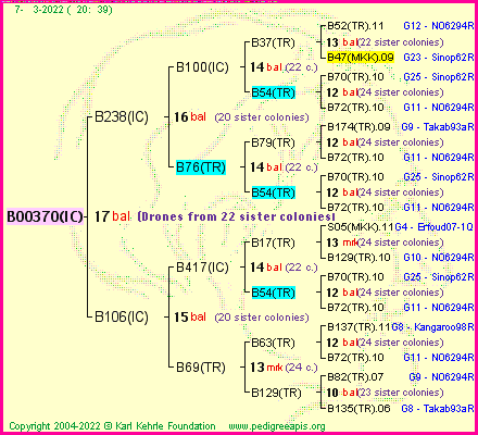 Pedigree of B00370(IC) :
four generations presented
it's temporarily unavailable, sorry!