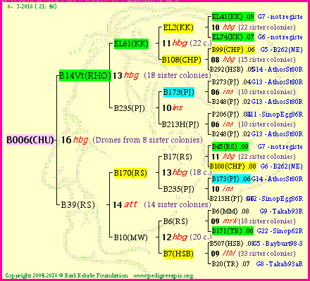 Pedigree of B006(CHU) :
four generations presented