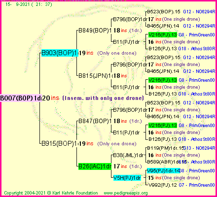 Pedigree of B007(BOP)1dr :
four generations presented
it's temporarily unavailable, sorry!