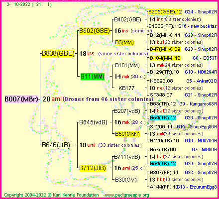 Pedigree of B007(MBr) :
four generations presented
it's temporarily unavailable, sorry!