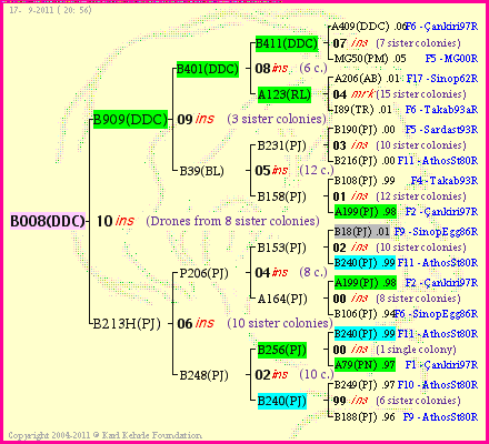 Pedigree of B008(DDC) :
four generations presented