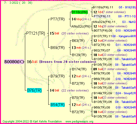 Pedigree of B0080(IC) :
four generations presented
it's temporarily unavailable, sorry!