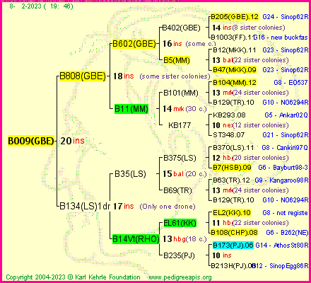 Pedigree of B009(GBE) :
four generations presented
it's temporarily unavailable, sorry!