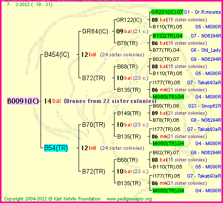 Pedigree of B0091(IC) :
four generations presented
it's temporarily unavailable, sorry!