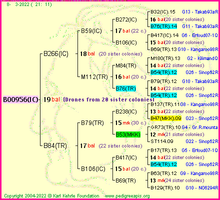 Pedigree of B00956(IC) :
four generations presented
it's temporarily unavailable, sorry!