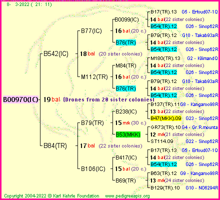 Pedigree of B00970(IC) :
four generations presented
it's temporarily unavailable, sorry!