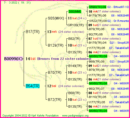 Pedigree of B0099(IC) :
four generations presented
it's temporarily unavailable, sorry!