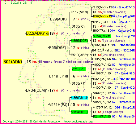 Pedigree of B01(ADK) :
four generations presented
it's temporarily unavailable, sorry!