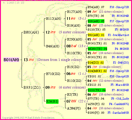 Pedigree of B01(AH) :
four generations presented